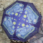 Van Gogh Umbrella